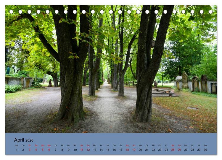 Produktbild: Wundervolles Freiburg (Tischkalender 2026 DIN A5 quer), CALVENDO Monatskalender