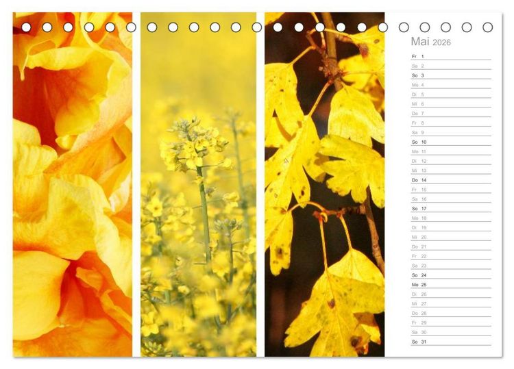 Produktbild: Nat&uuml;rlicher Dreiklang (Tischkalender 2026 DIN A5 quer), CALVENDO Monatskalender