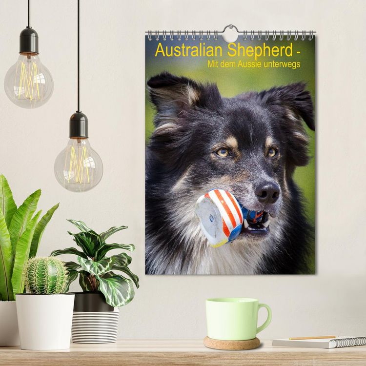 Produktbild: Australian Shepherd &ndash; Mit dem Aussie unterwegs (Wandkalender 2026 DIN A4 hoch), CALVENDO Monatskalender