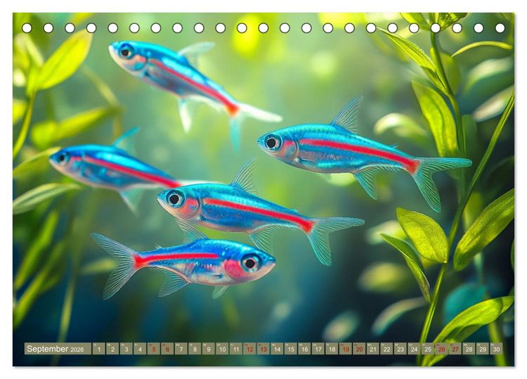 Produktbild: Tiefenentspanntes Aquarium (Tischkalender 2026 DIN A5 quer), CALVENDO Monatskalender