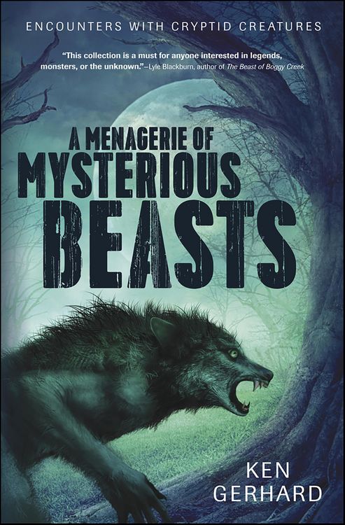 Produktbild: A Menagerie of Mysterious Beasts