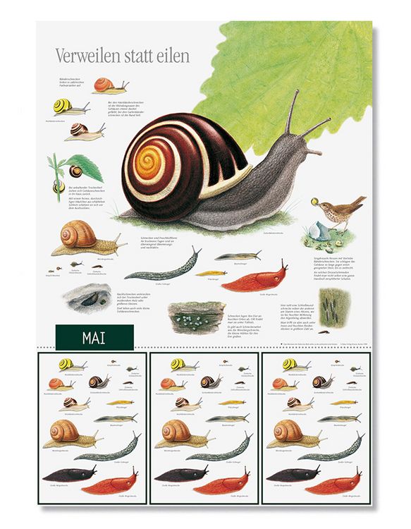 Produktbild: Natur erleben durch das Jahr - 2