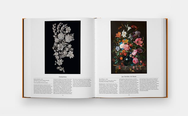 Produktbild: Flower: Exploring the World in Bloom