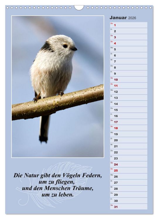 Produktbild: Schwanzmeisen, die niedlichen kleinen Pfannenstielchen (Wandkalender 2026 DIN A3 hoch), CALVENDO Monatskalender