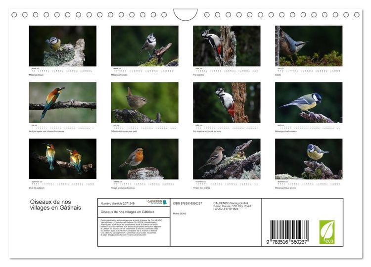 Produktbild: Oiseaux de nos villages en G&acirc;tinais (Calendrier mural 2026 DIN A4 vertical), CALVENDO calendrier mensuel