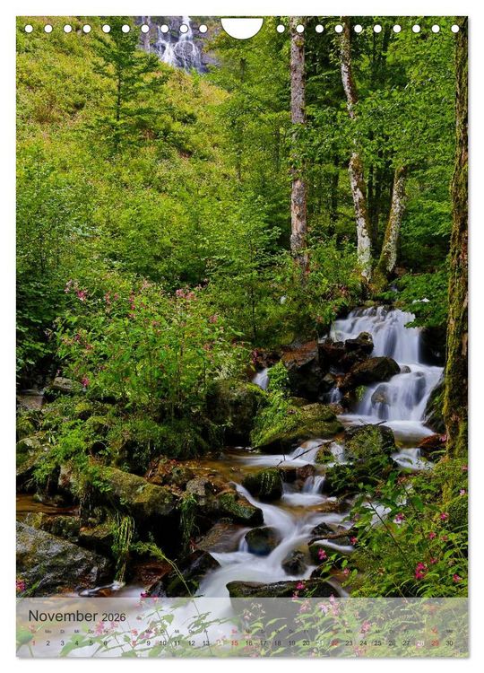 Produktbild: Alles im Fluss - Schwarzwaldwasser (Wandkalender 2026 DIN A4 hoch), CALVENDO Monatskalender