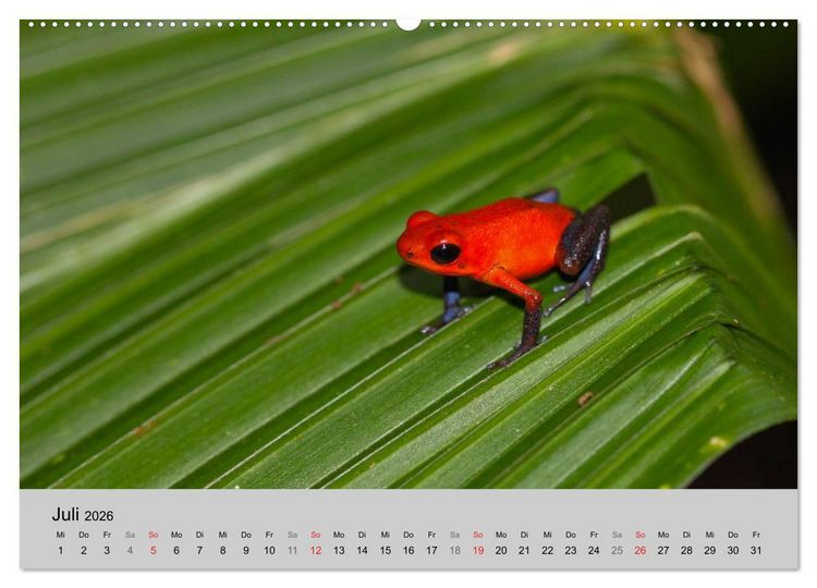 Produktbild: Costa Rica (Wandkalender 2026 DIN A2 quer), CALVENDO Monatskalender
