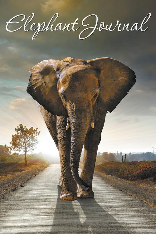 Produktbild: Elephant Journal