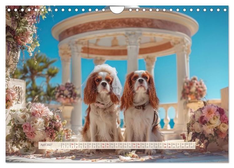 Produktbild: Cavalier King Charles Spaniel. Die lustigsten Cavalier Momente des Jahres. (Wandkalender 2027 DIN A4 quer), CALVENDO Monatskalender