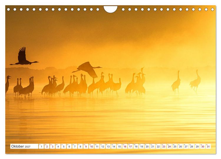 Produktbild: Natur und Tierparadies (Wandkalender 2027 DIN A4 quer), CALVENDO Monatskalender