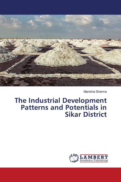 Produktbild: The Industrial Development Patterns and Potentials in Sikar District
