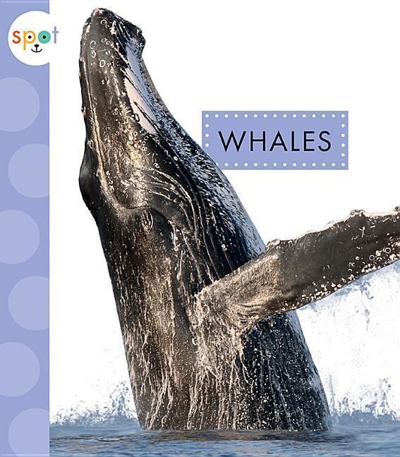 Produktbild: Whales