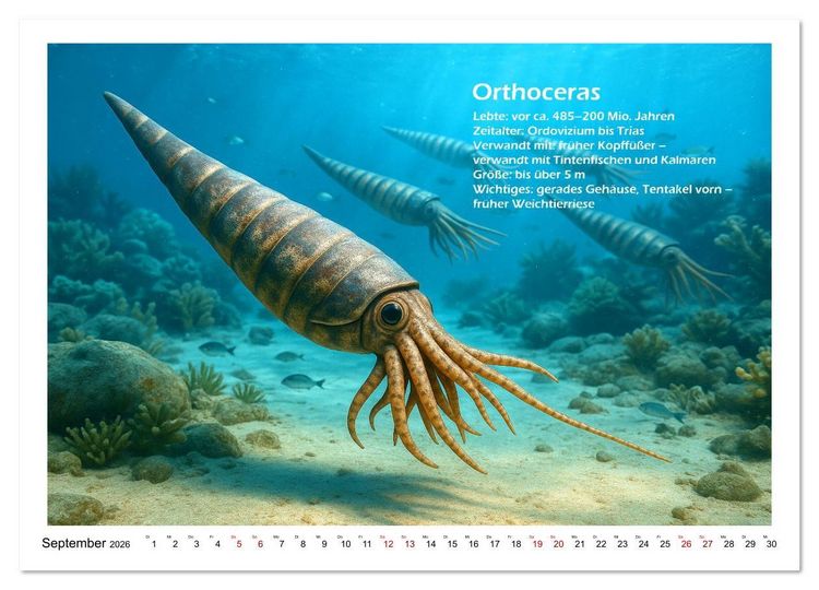 Produktbild: Urige Meerestiere pr&auml;historisch und seltsam (Wandkalender 2026 DIN A3 quer), CALVENDO Monatskalender