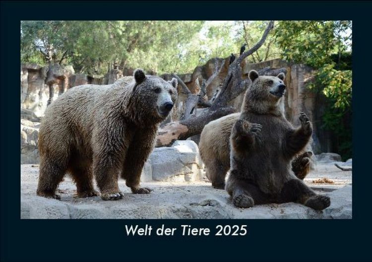 Produktbild: Welt der Tiere 2025 Fotokalender DIN A5