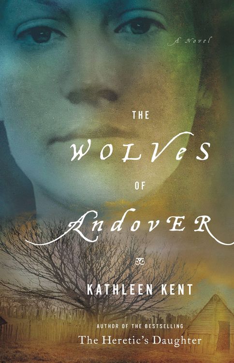 Produktbild: The Wolves of Andover
