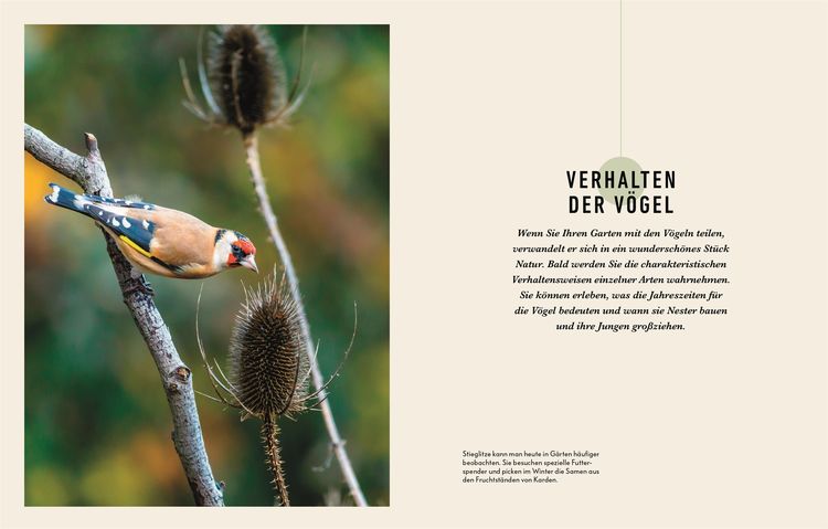 Produktbild: So locke ich V&ouml;gel in meinen Garten