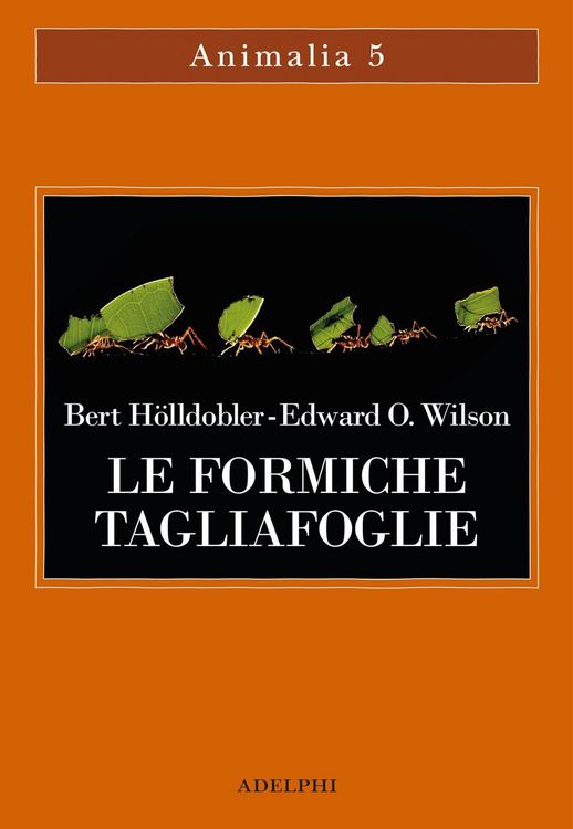 Produktbild: Le formiche tagliafoglie. La conquista della civilt&agrave; attraverso l'istinto