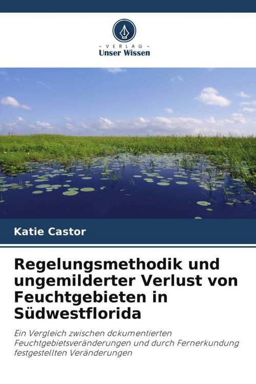 Produktbild: Castor, K: Regelungsmethodik und ungemilderter Verlust von F