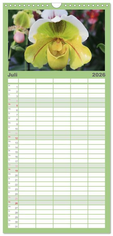 Produktbild: Familienplaner 2026 - Pr&auml;chtige Orchideen mit 5 Spalten (Wandkalender, 21 x 45 cm) CALVENDO