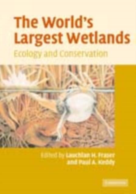 Produktbild: World's Largest Wetlands