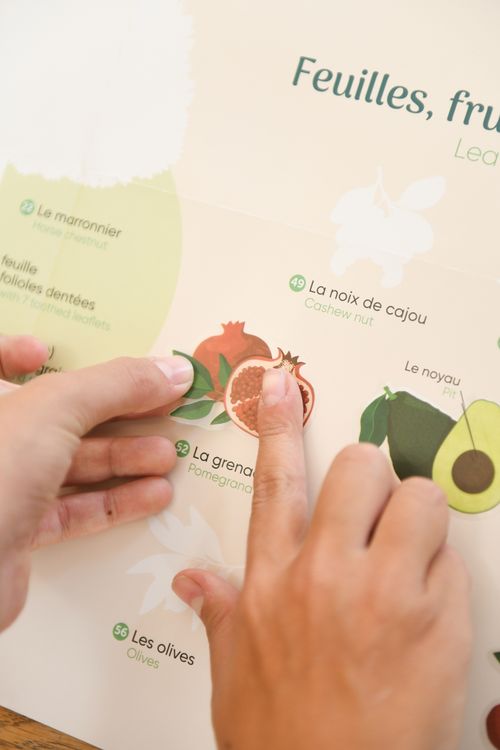 Produktbild: POPPIK - Sticker Lernposter B&auml;ume