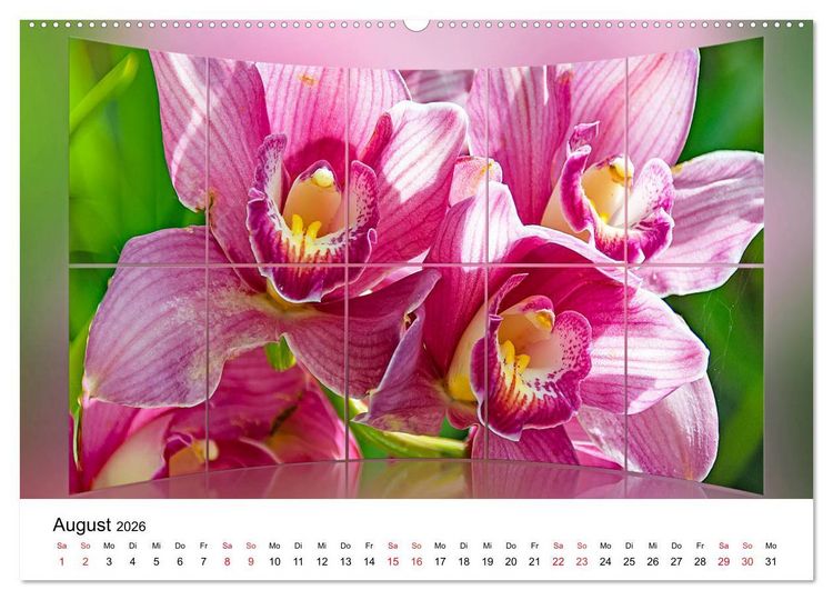 Produktbild: Orchideen Bildergalerie (Wandkalender 2026 DIN A2 quer), CALVENDO Monatskalender