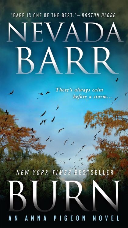 Produktbild: Burn (Anna Pigeon Mysteries, Book 16)