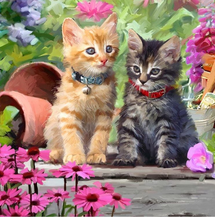 Produktbild: Crystal Art Katzenfreunde 18x18cm