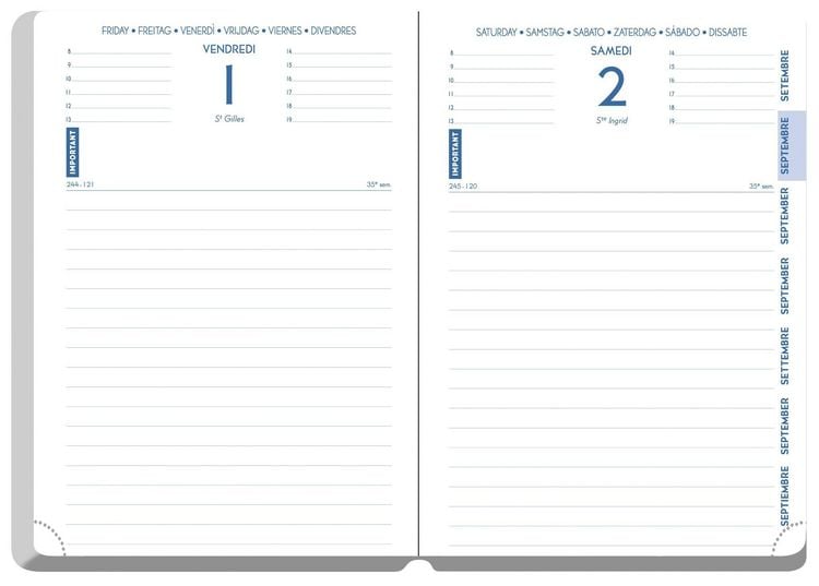 Produktbild: Sch&uuml;lerkalender Forum Office Winner 2026 / 2027