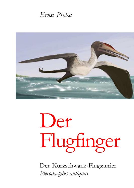 Produktbild: Der Flugfinger
