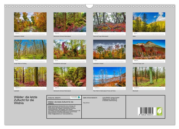 Produktbild: W&auml;lder: die letzte Zuflucht f&uuml;r die Wildnis (Wandkalender 2026 DIN A3 quer), CALVENDO Monatskalender