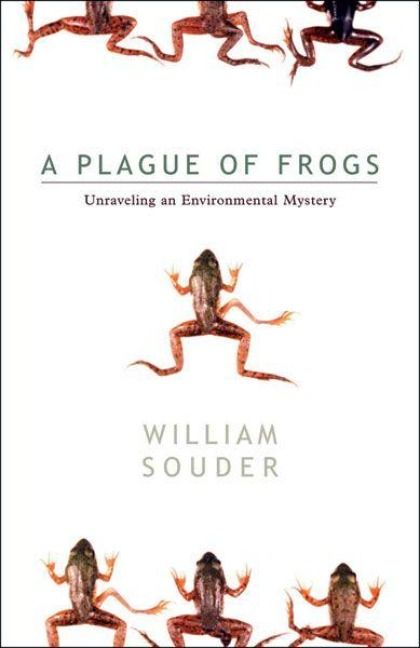 Produktbild: Plague of Frogs