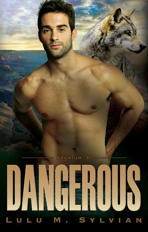 Produktbild: Dangerous (Legatum, #3)