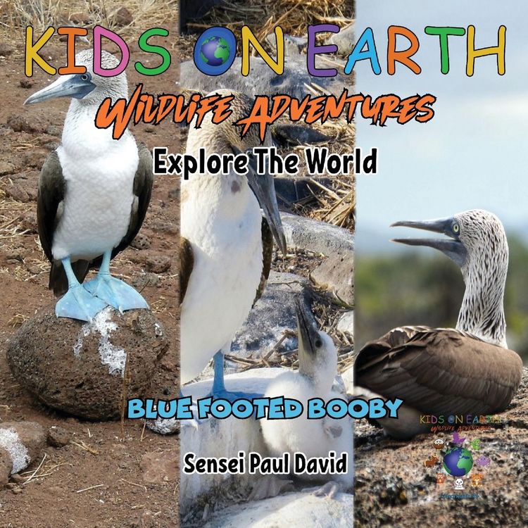 Produktbild: KIDS ON EARTH Wildlife Adventures - Explore The World Blue Footed Booby - Ecuador