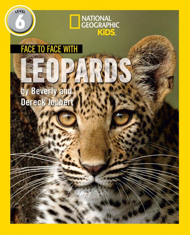 Produktbild: Face to Face with Leopards: Level 6 (National Geographic Readers)