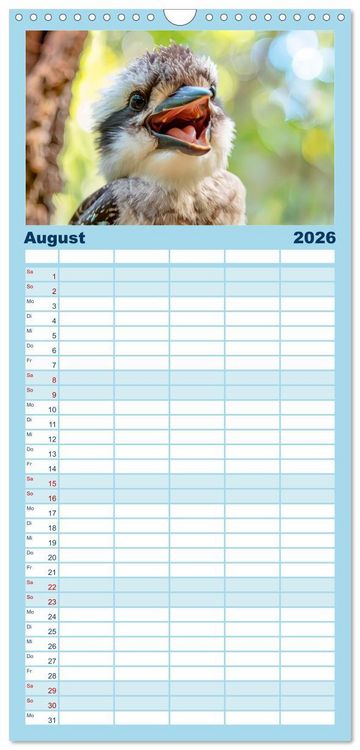 Produktbild: Familienplaner 2026 - Der Kookaburra - Im australischen Busch mit dem lachenden Hans mit 5 Spalten (Wandkalender, 21 x 45 cm) CALVENDO
