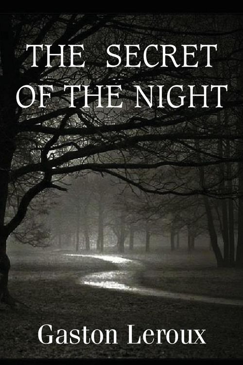 Produktbild: The Secret of the Night