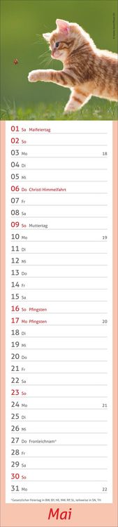 Produktbild: times&more Katzen Langplaner 2027