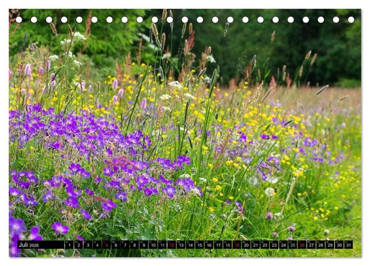 Produktbild: Der Harz - Sagenumwoben und Wildromantisch (Tischkalender 2026 DIN A5 quer), CALVENDO Monatskalender