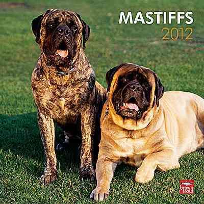 Produktbild: Mastiffs 2012 Calendar