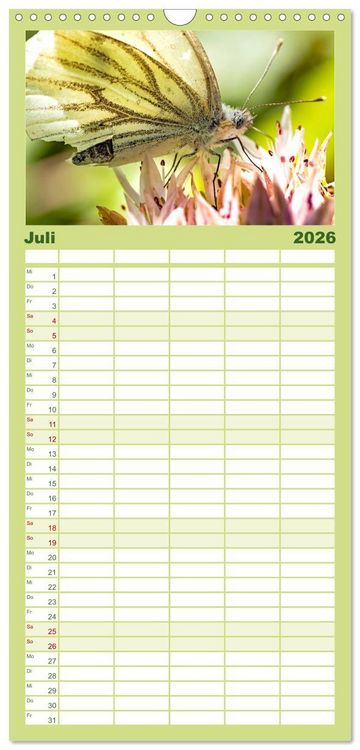 Produktbild: Familienplaner 2026 - INSEKTEN - Makrofotografie in freier Natur mit 5 Spalten (Wandkalender, 21 x 45 cm) CALVENDO