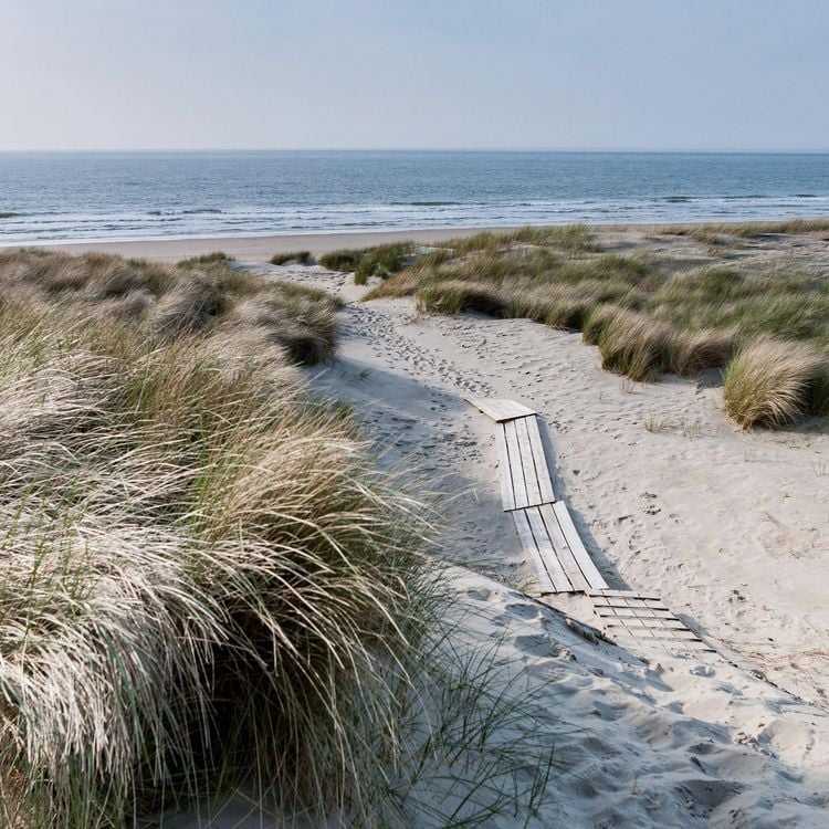 Produktbild: Strand und Meer / Beach and Sea 2027