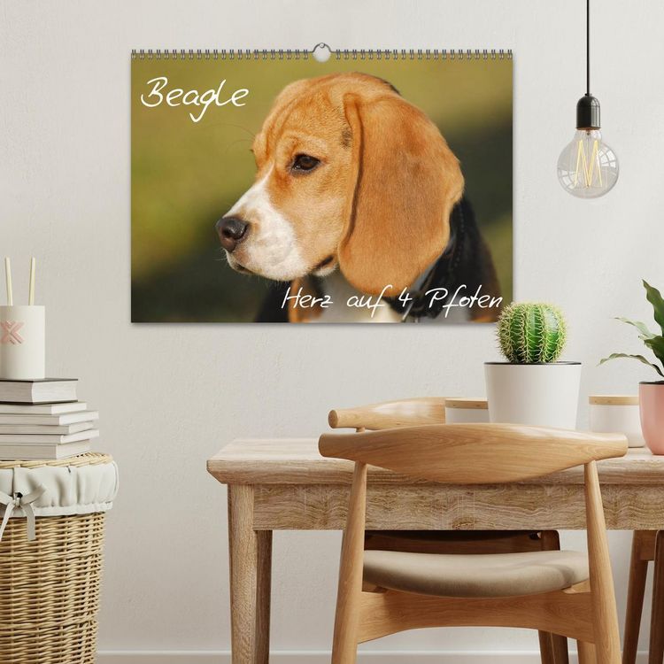 Produktbild: Beagle - Herz auf 4 Pfoten (Wandkalender 2026 DIN A3 quer), CALVENDO Monatskalender