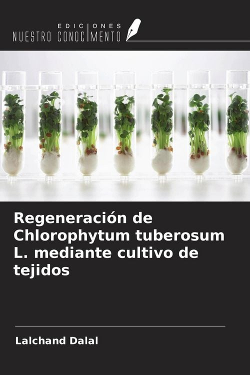 Produktbild: Regeneraci&oacute;n de Chlorophytum tuberosum L. mediante cultivo de tejidos