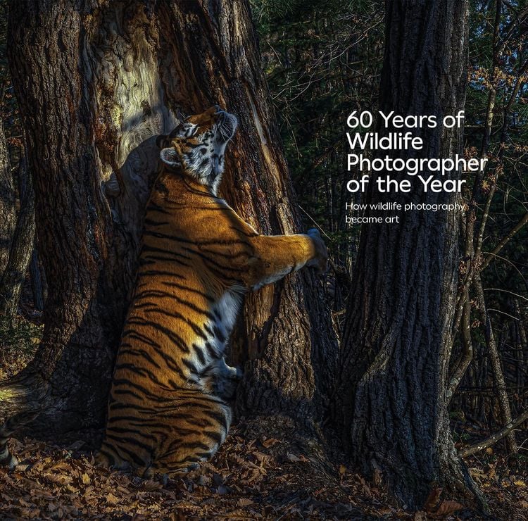 Produktbild: 60 Years of Wildlife Photographer of the Year