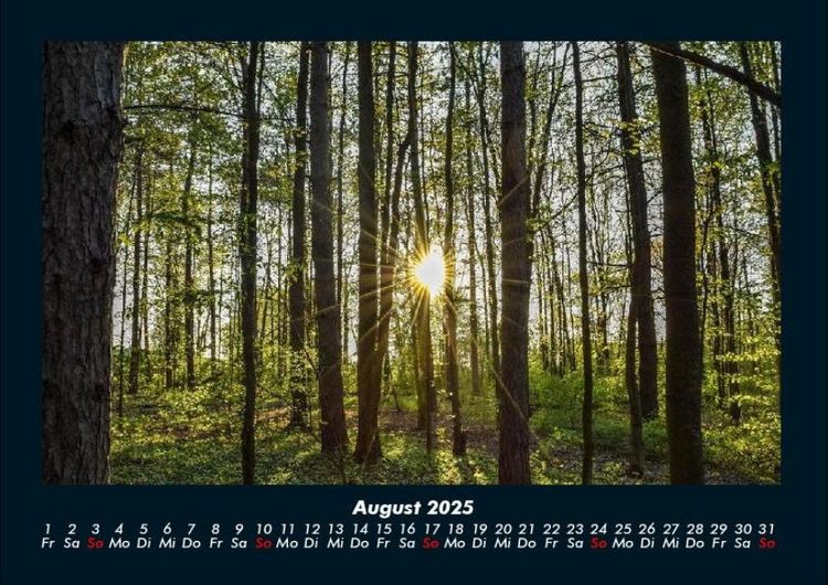 Produktbild: Natur 2025 Fotokalender DIN A4