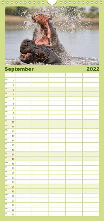 Produktbild: Flusspferde Magie des Augenblicks - Hippos in Afrika - Familienplaner hoch (Wandkalender 2022 , 21 cm x 45 cm, hoch)