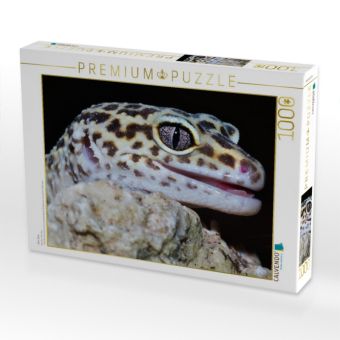 Produktbild: CALVENDO Puzzle Mini-Dino | 1000 Teile Lege-Gr&ouml;&szlig;e 64x48cm Foto-Puzzle f&uuml;r gl&uuml;ckliche Stunden