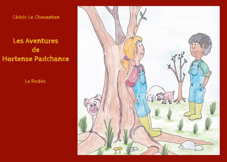 Produktbild: Les aventures de Hortense Padchance