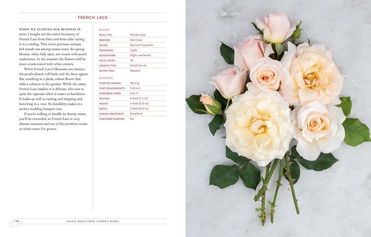 Produktbild: Grace Rose Farm: Garden Roses